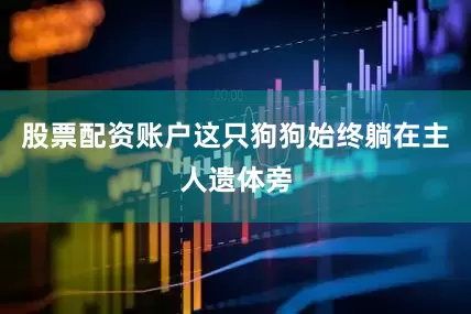 股票配资账户这只狗狗始终躺在主人遗体旁