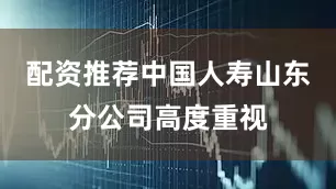 配资推荐中国人寿山东分公司高度重视