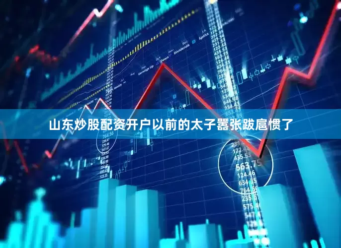 山东炒股配资开户以前的太子嚣张跋扈惯了